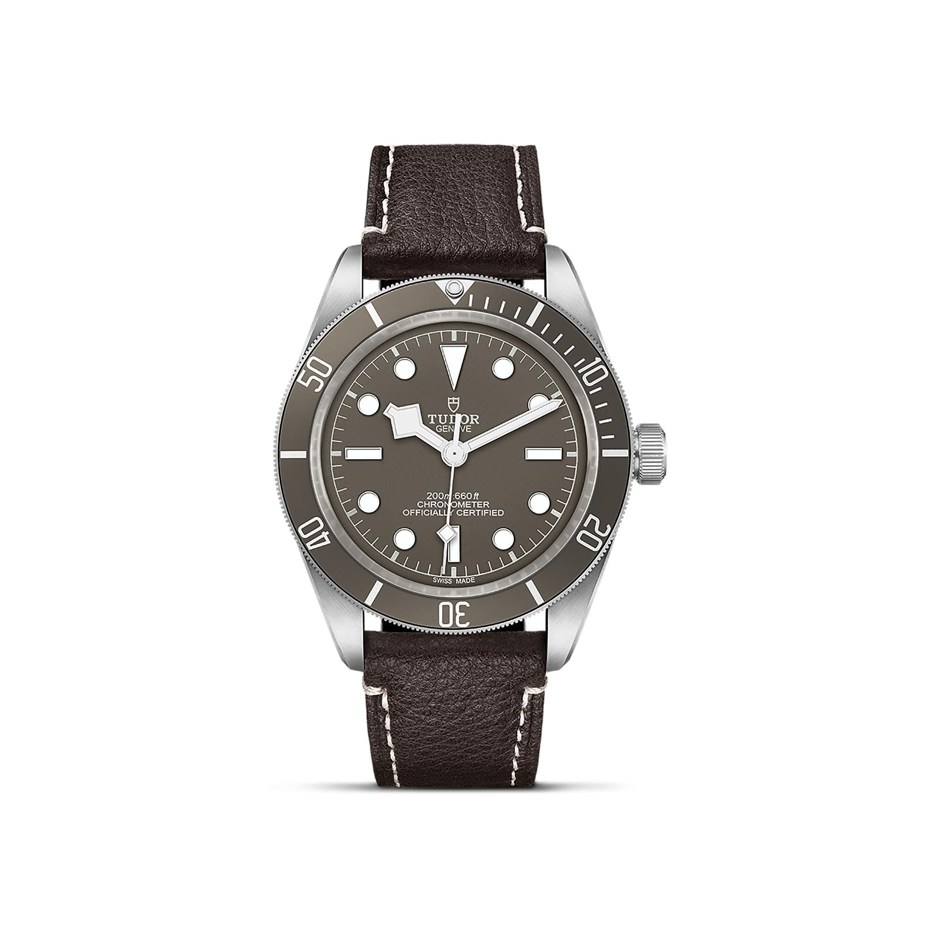 Montre TUDOR Black Bay 58 Boîtier En Argent 39 Mm, Bracelet En Cuir Brun - Argent 925/1000ème - Vert